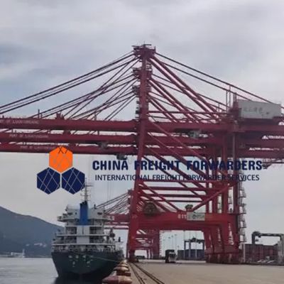 Transportador Global Transportador de Cargas Transportador Logística Transporte marítimo da China para o Reino Unido