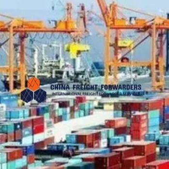 Transportador Global Transportador de Cargas Transportador Logística Transporte marítimo da China para o Reino Unido